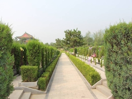 墓地綠化